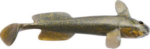 mini2quantum-specialist-goby-shad-puddle.jpg